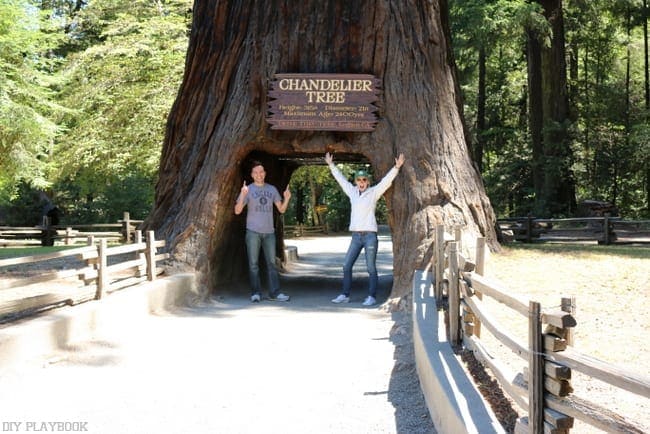 Tips for Driving Highway 101 from Seattle to San Francisco