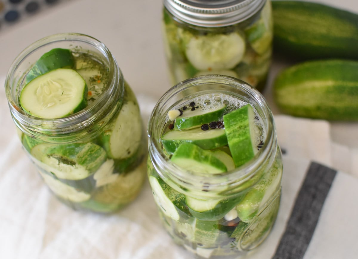 Quick Homemade Dill Pickles The Dizzy Cook