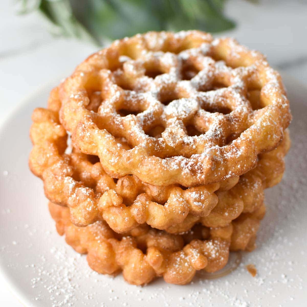 Rosette Fried Cookies