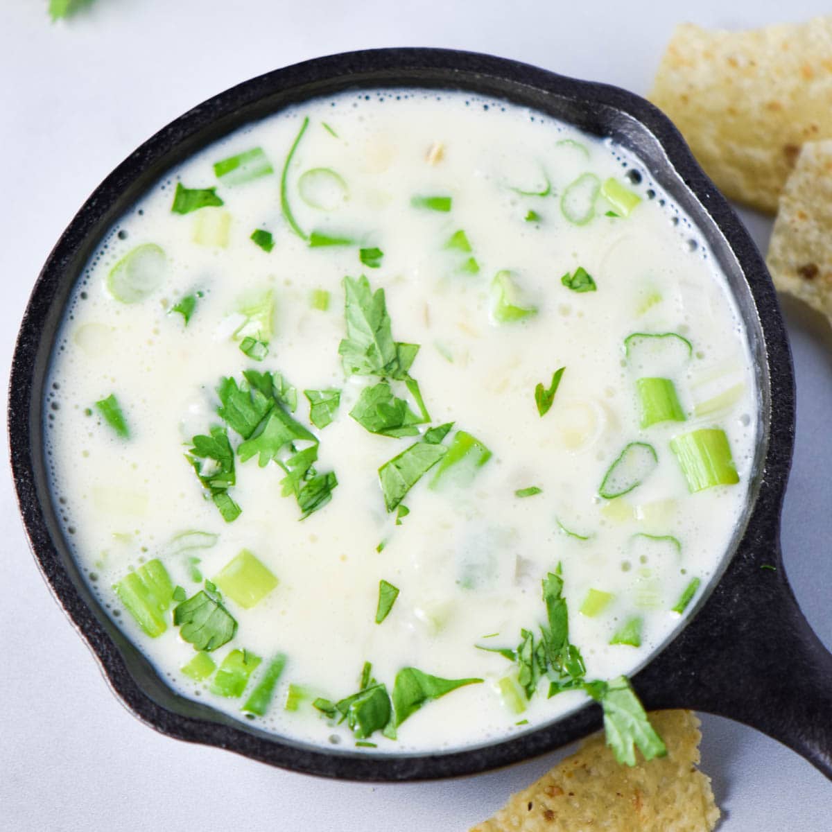 Mozzarella Queso Dip The Dizzy Cook
