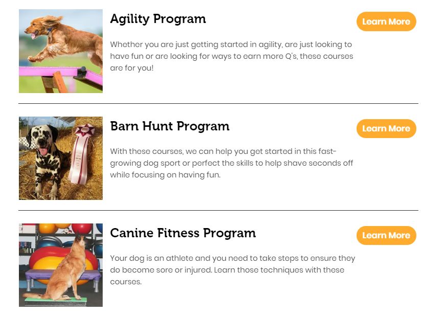 How To Create Your Own Online Dog Training Course The Dogs