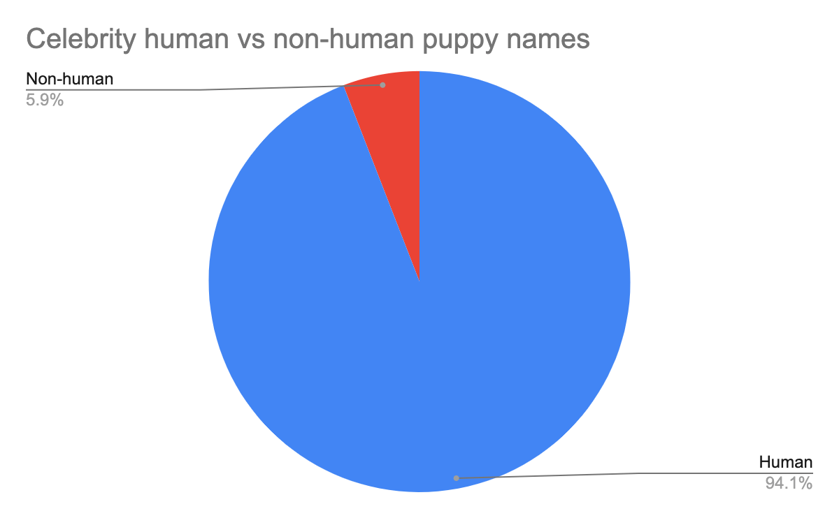 Discover The UK's Most Popular Dog Names The Dogs