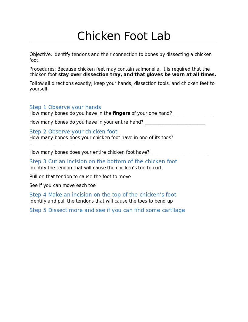 Chicken Foot Dissection How Tendons Work The Dock for Learning