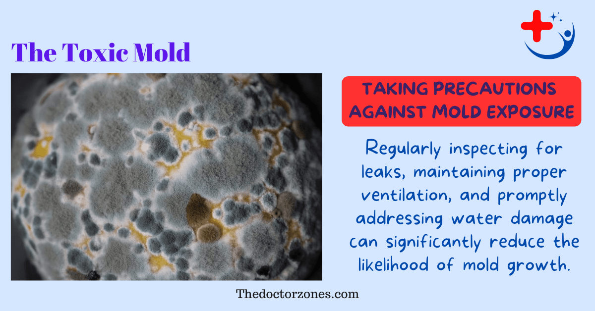 Can Mold Cause Cancer Separating Fact from Fiction thedoctorzones