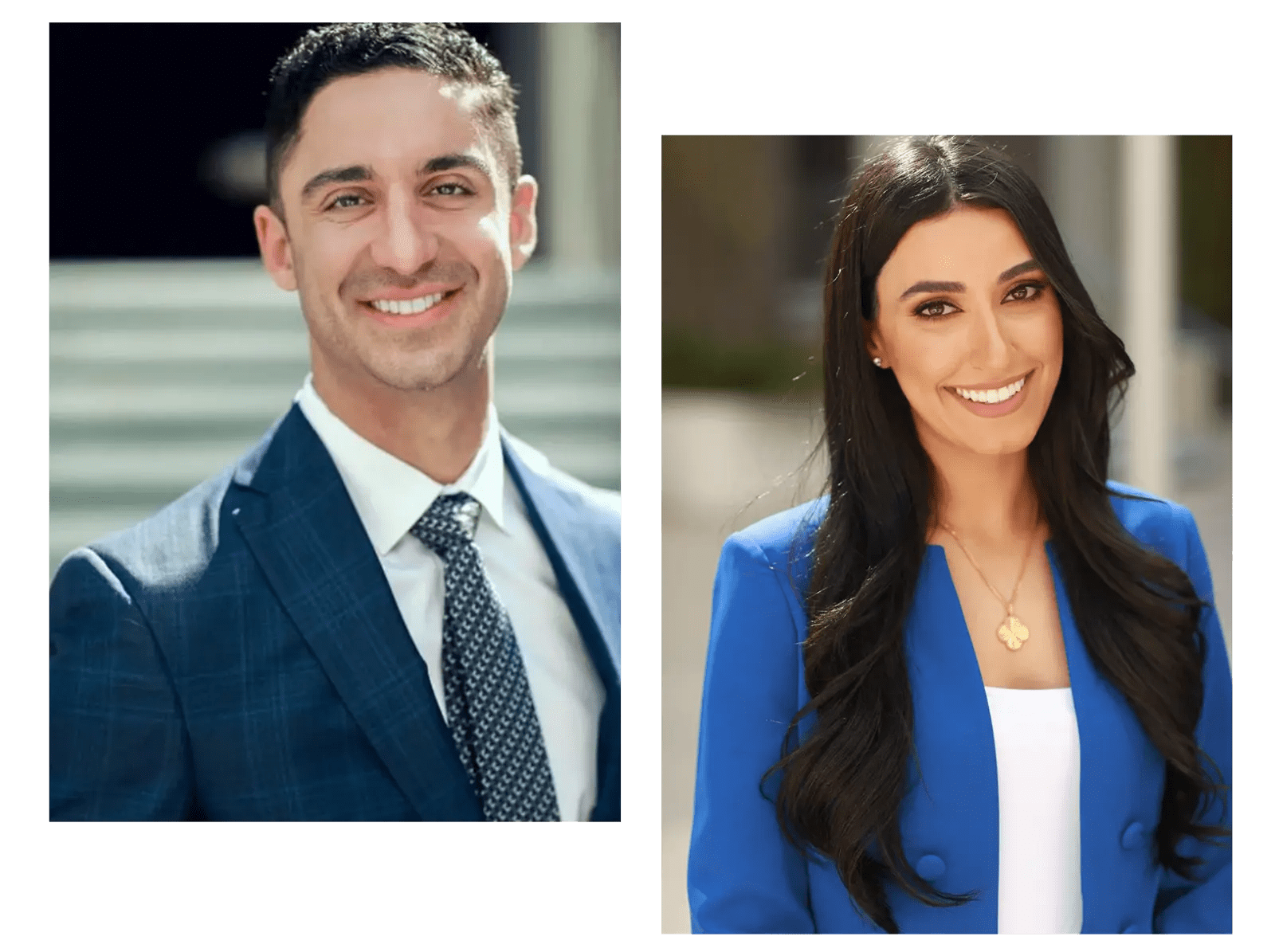 California Dog Bite Attorneys The Dog Attack Attorneys