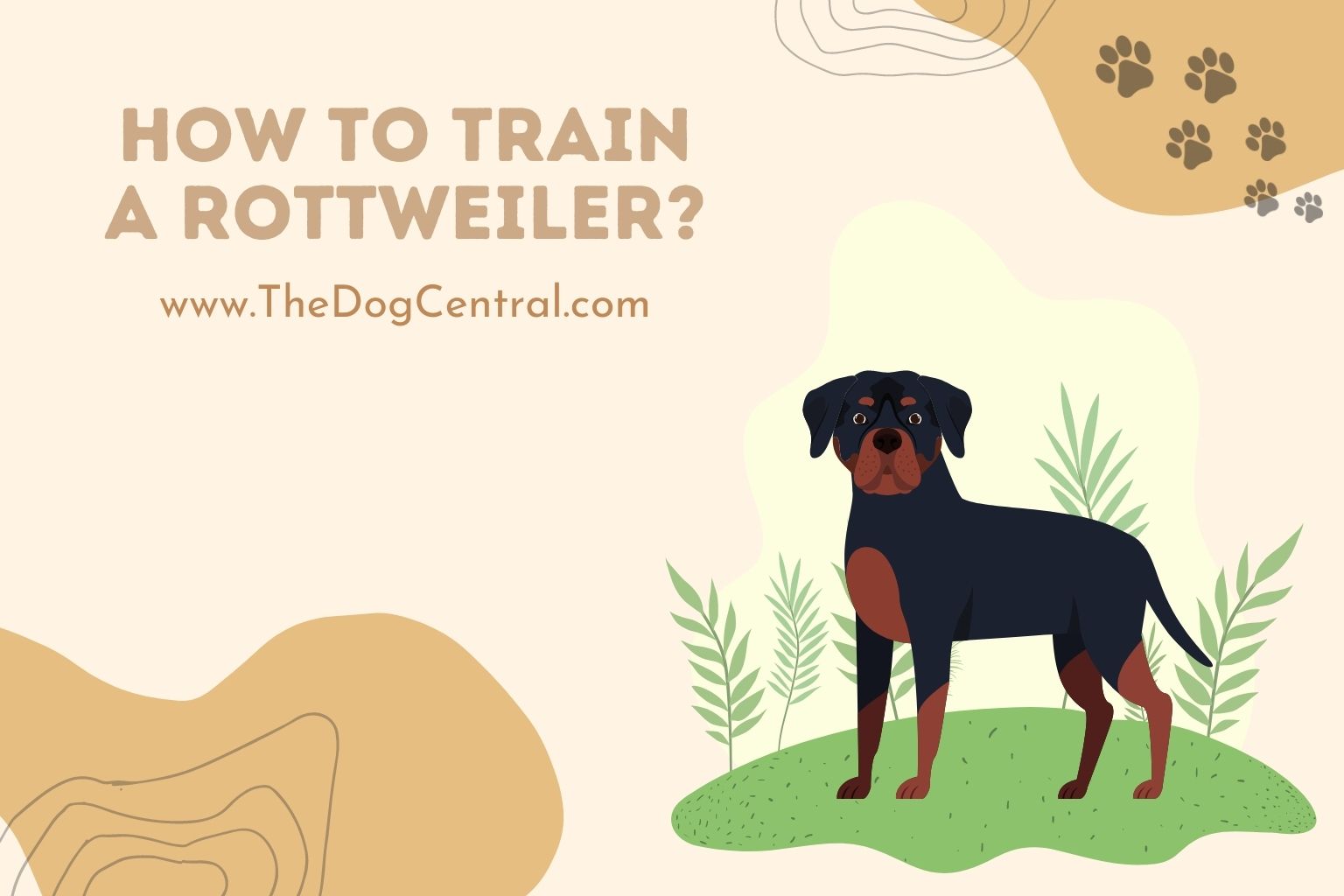 How to Crate Train a Rottweiler? The Dog Central