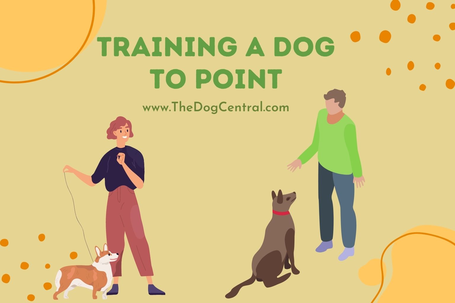 Training a Dog to Point The Dog Central