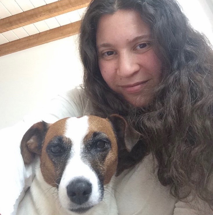 About Us The Cottages Premier dog boarding