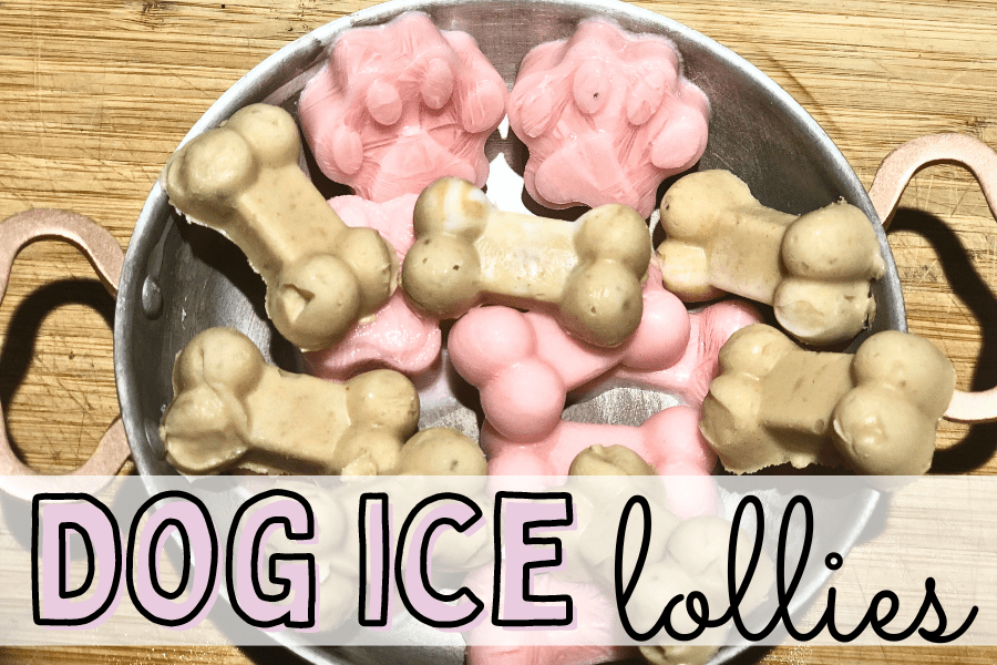 Your Pup will go Crazy for these Dog Ice Lollies The Dog Darling