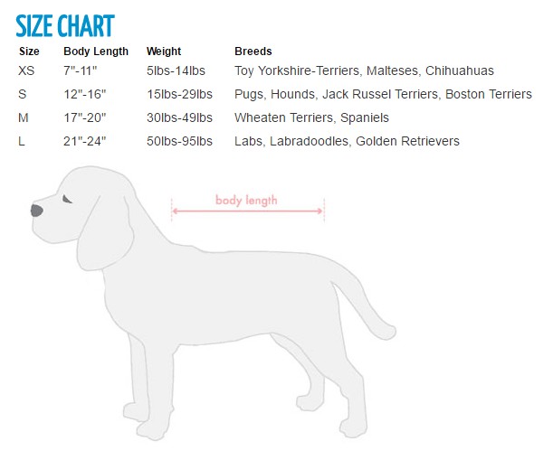Boston Terrier Size Chart ubicaciondepersonas.cdmx.gob.mx