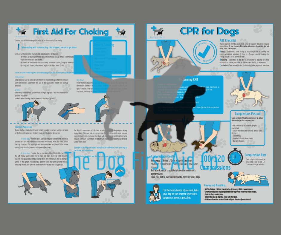 Emergency Posters CPR & Choking The Dog First Aid Co.