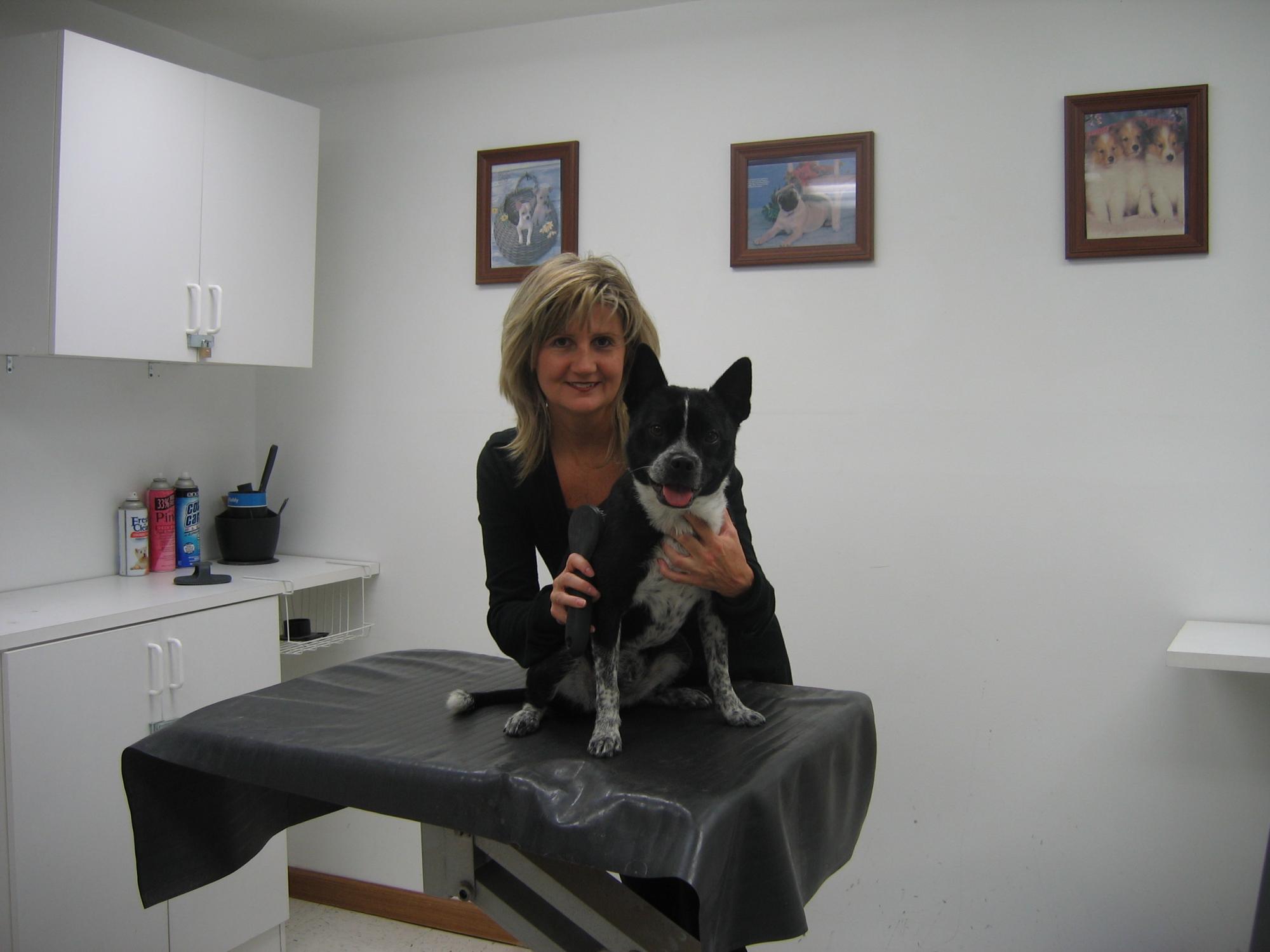 The Dog House Groom & Board