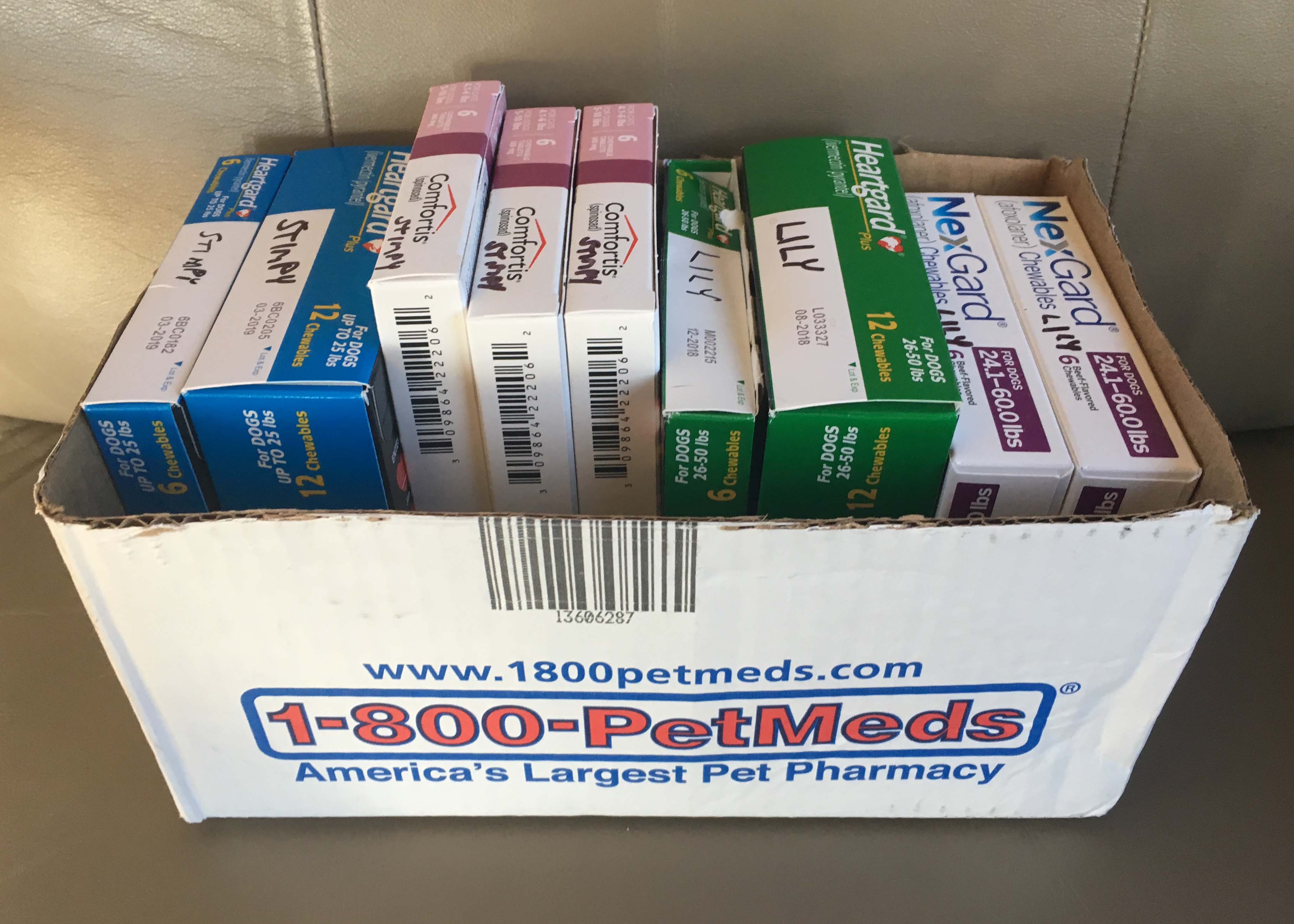 Getting your pets RV ready