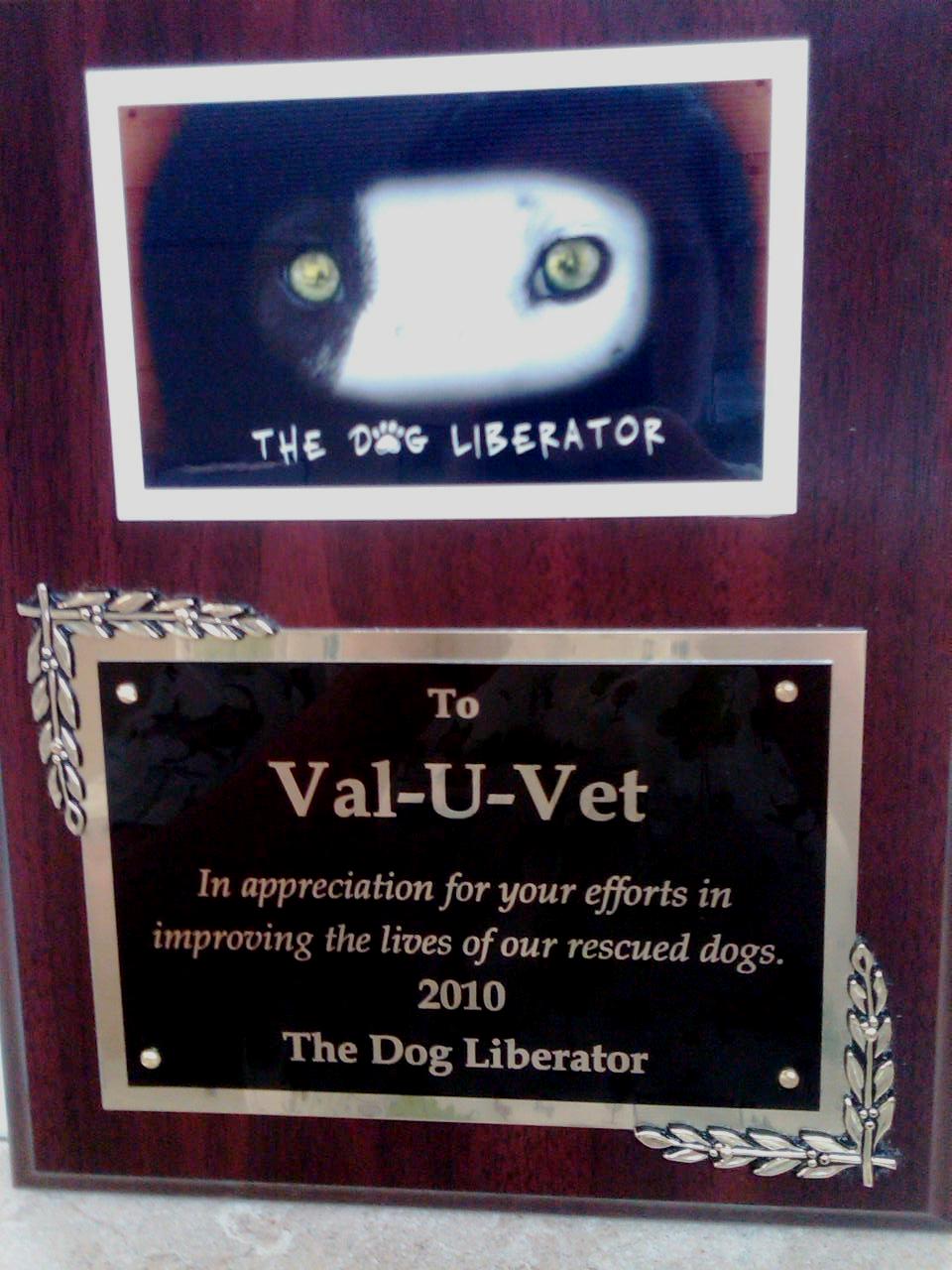 How to Donate to a Reputable Dog Rescue The Dog Liberator™