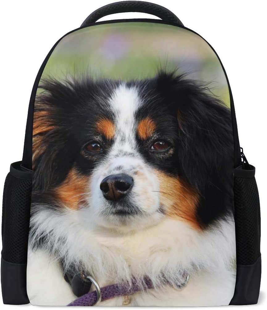 16 Incredible Gifts for Australian Shepherd Owners Page 2 of 4 The