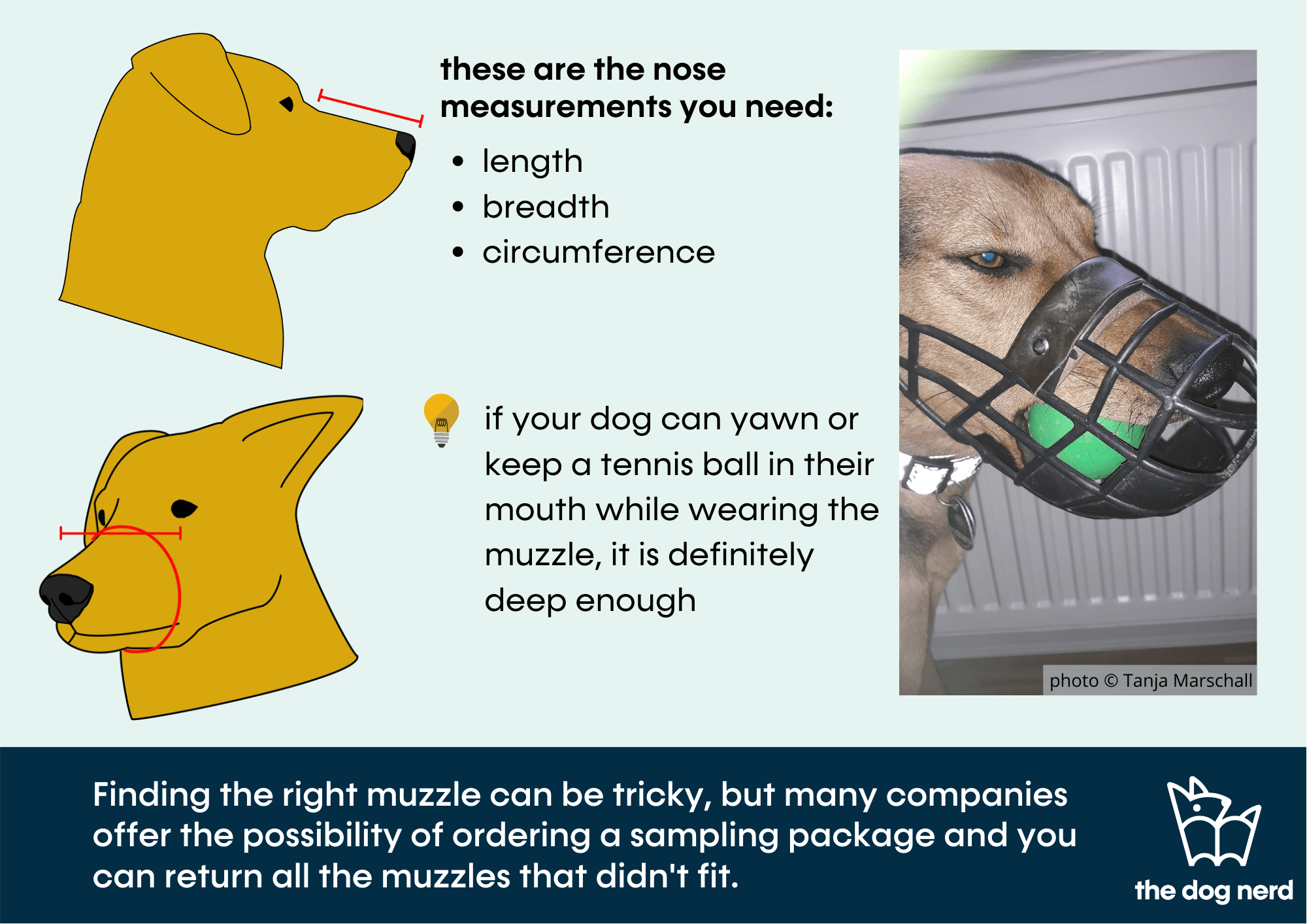 How Long Can You Keep A Muzzle On A Dog