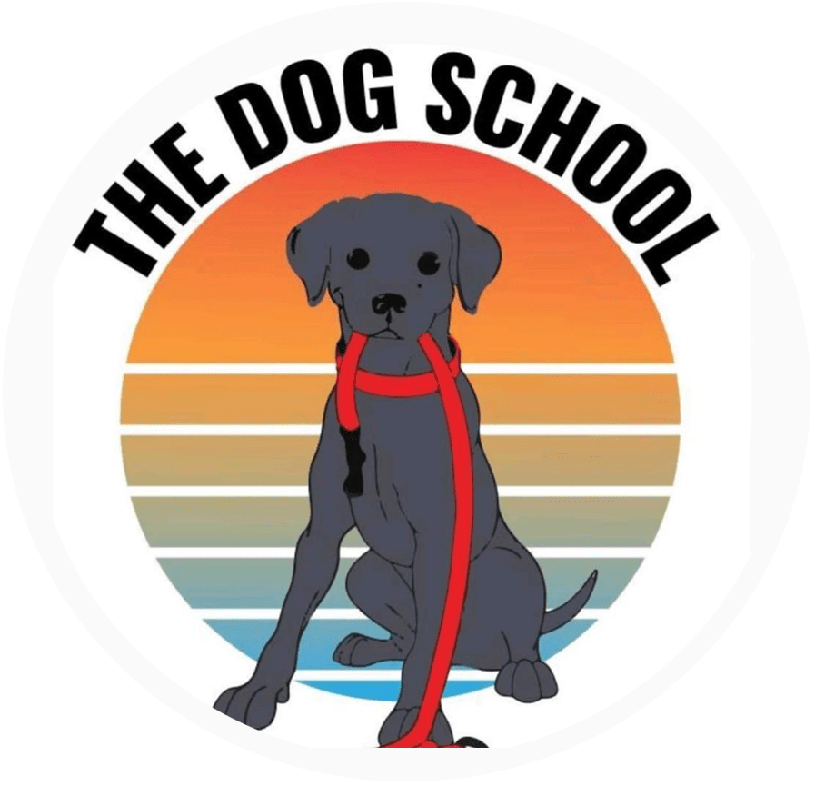 adminthedogschool The Dog School