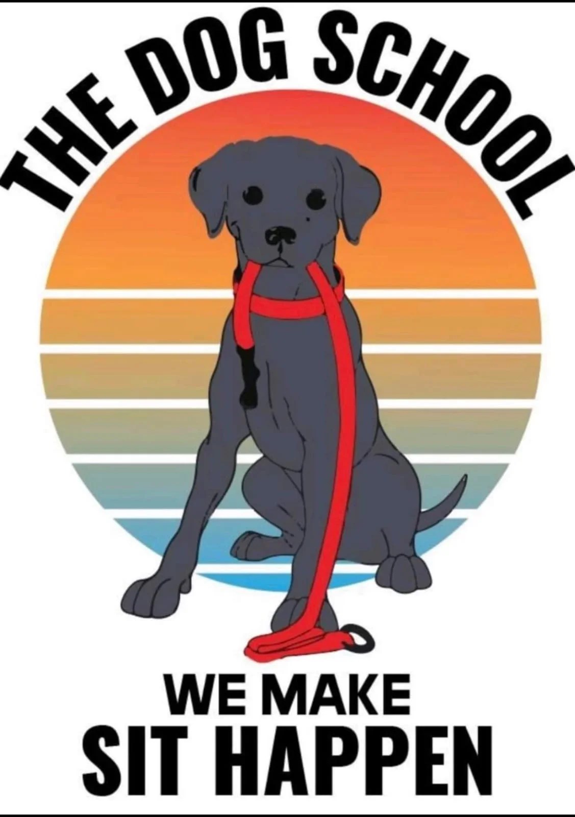 Top Dog Training School Expert Classes & Programs