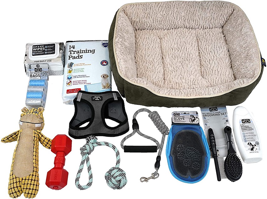 Essential Groodle Goldendoodle Puppy Kit [9 Products] The Dogs Journal