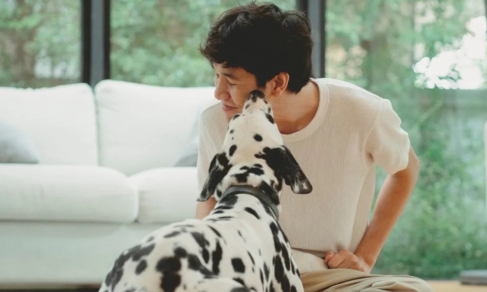 What Does It Mean When A Dog Licks Your Ears