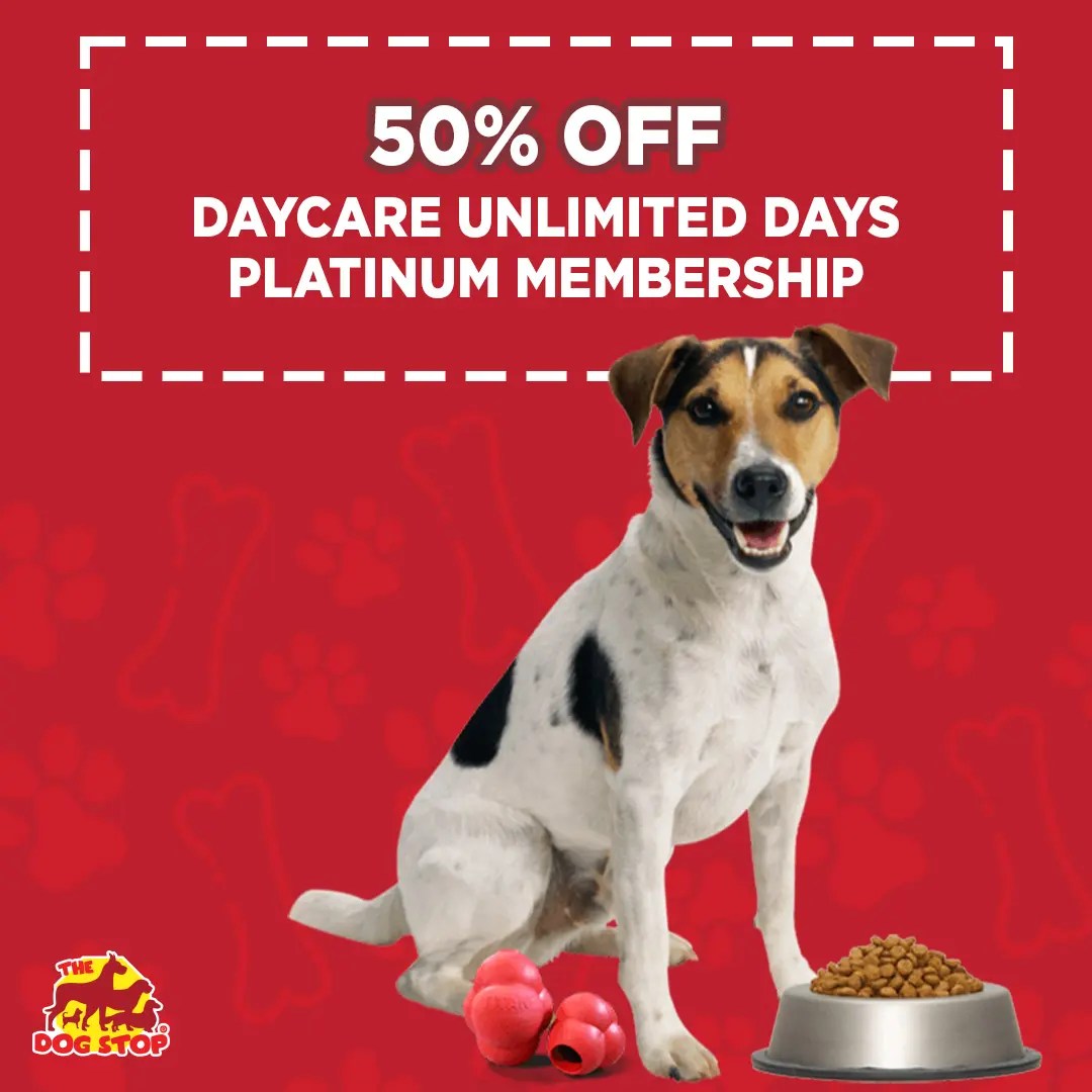 The Dog Stop Argyle 50 Off Daycare Memberships