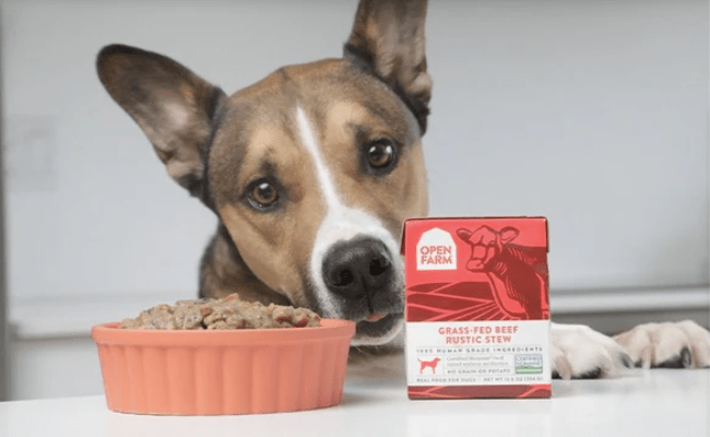 Dog Food The Dog Tale
