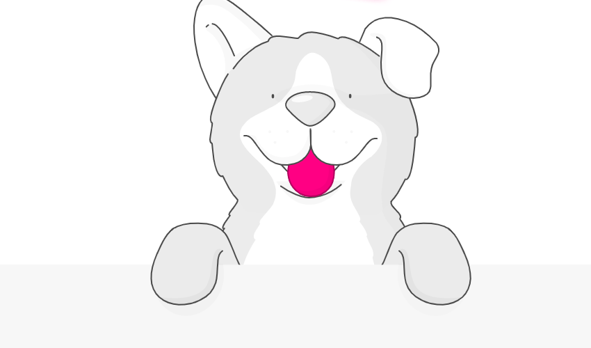 Lemonade Pet Insurance Review Is it Good? The Dog Tale