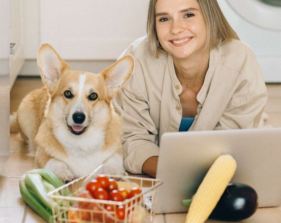 What Vegetables Can Dogs Eat? Safe & Healthy Ingredient List