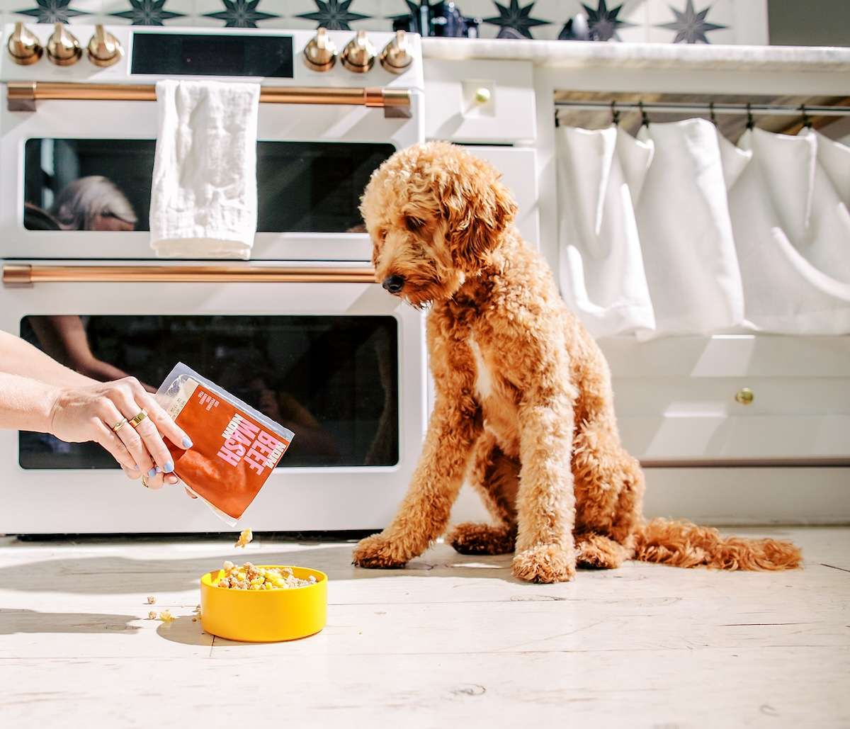 How Much Does NomNomNow Cost? The Dog Tale