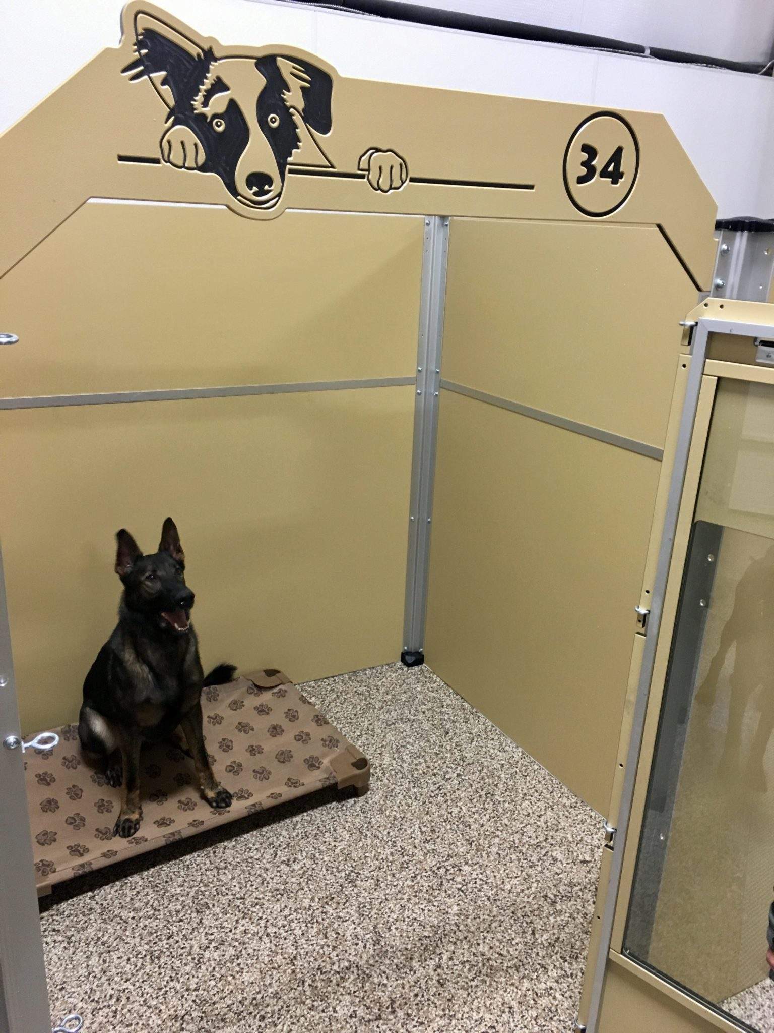 Dog Boarding and Training in Maryland & DC Premier Dog Training