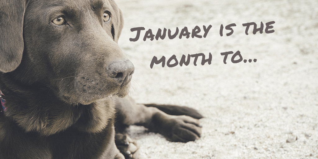 Pet Holidays and Awareness Days January