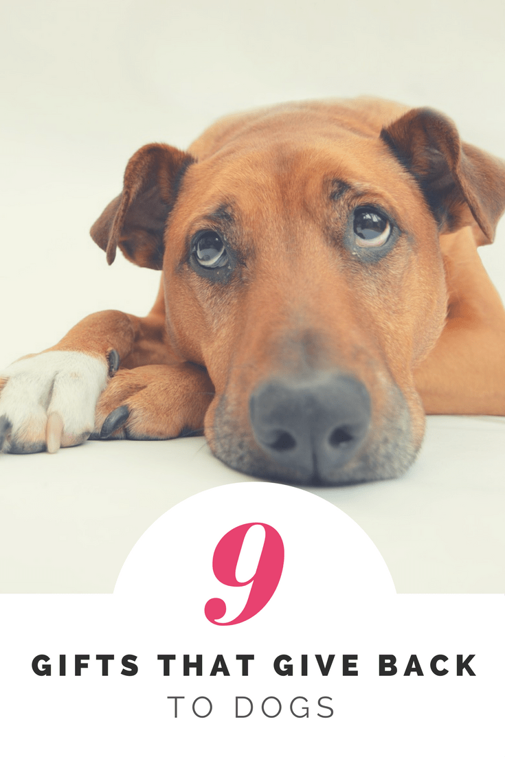 Gift Guide | 9 Glorious Gifts That Give Back To Dogs