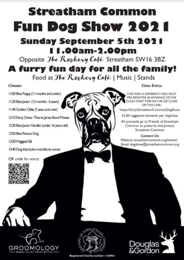 Streatham Common Dog Show 2021 The Dogvine
