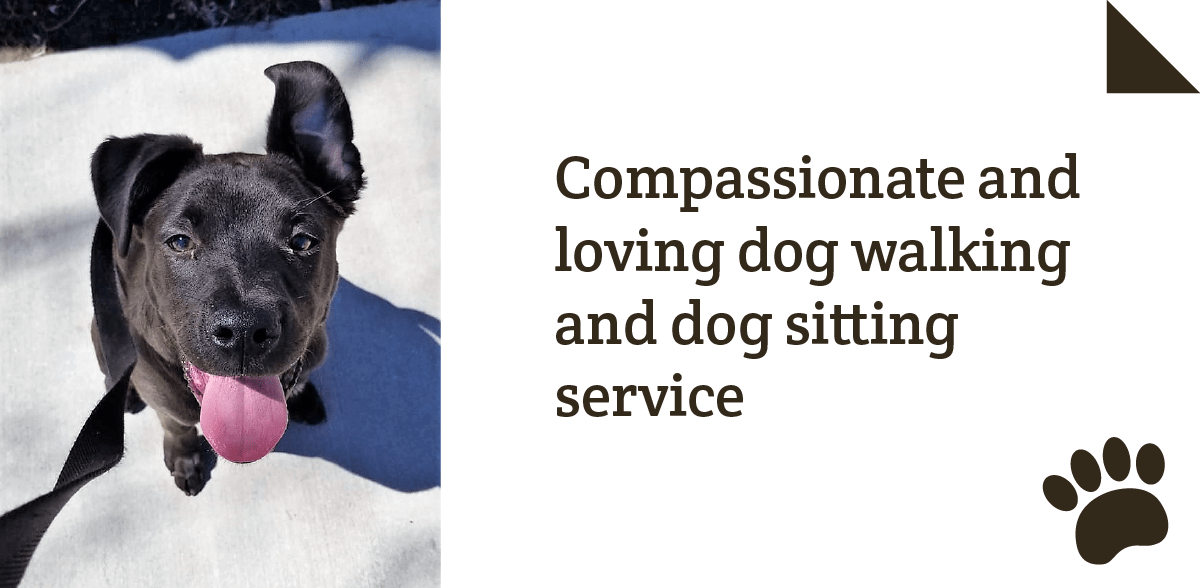 The Dogwalker A Compassionate and Loving Dog Walking and Dog Sitting