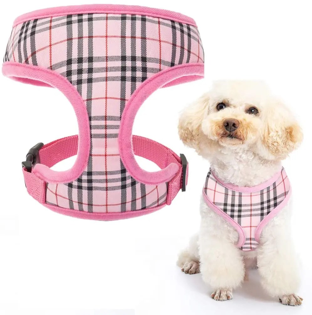 14 Best Cockapoo Harnesses That You Can't Miss The Doodle Guide