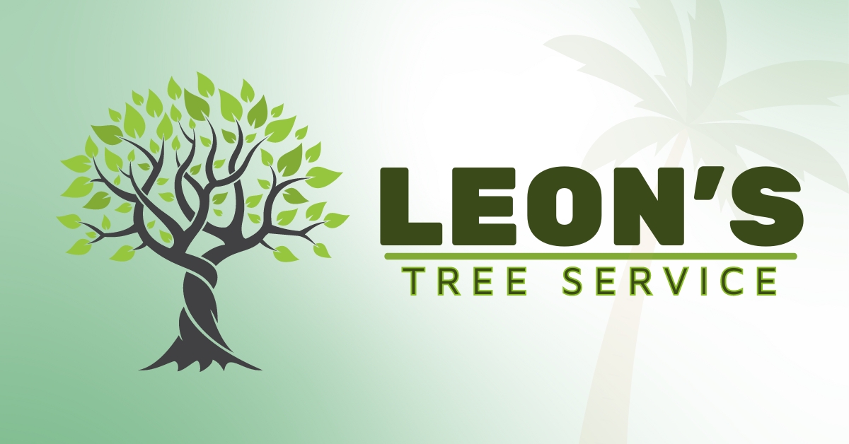 The Glove Box Tucson events The Drive Tucson