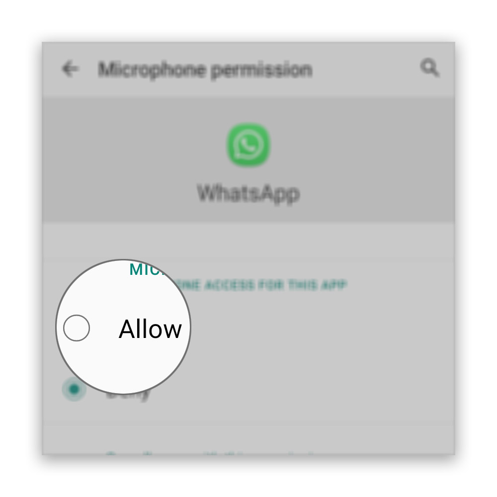 WhatsApp Microphone Not Working During Video Calls