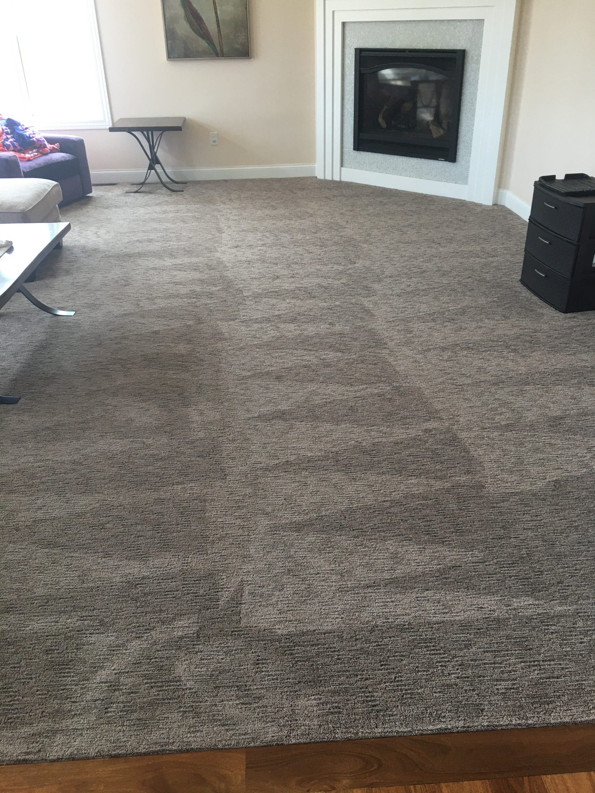 The Dry Guys Carpet Cleaning Upholstery Kenosha, WI