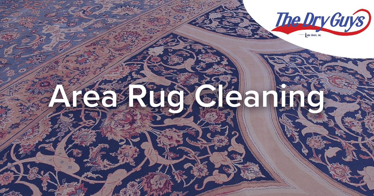 Area Rug Cleaning The Dry Guys Kenosha, WI