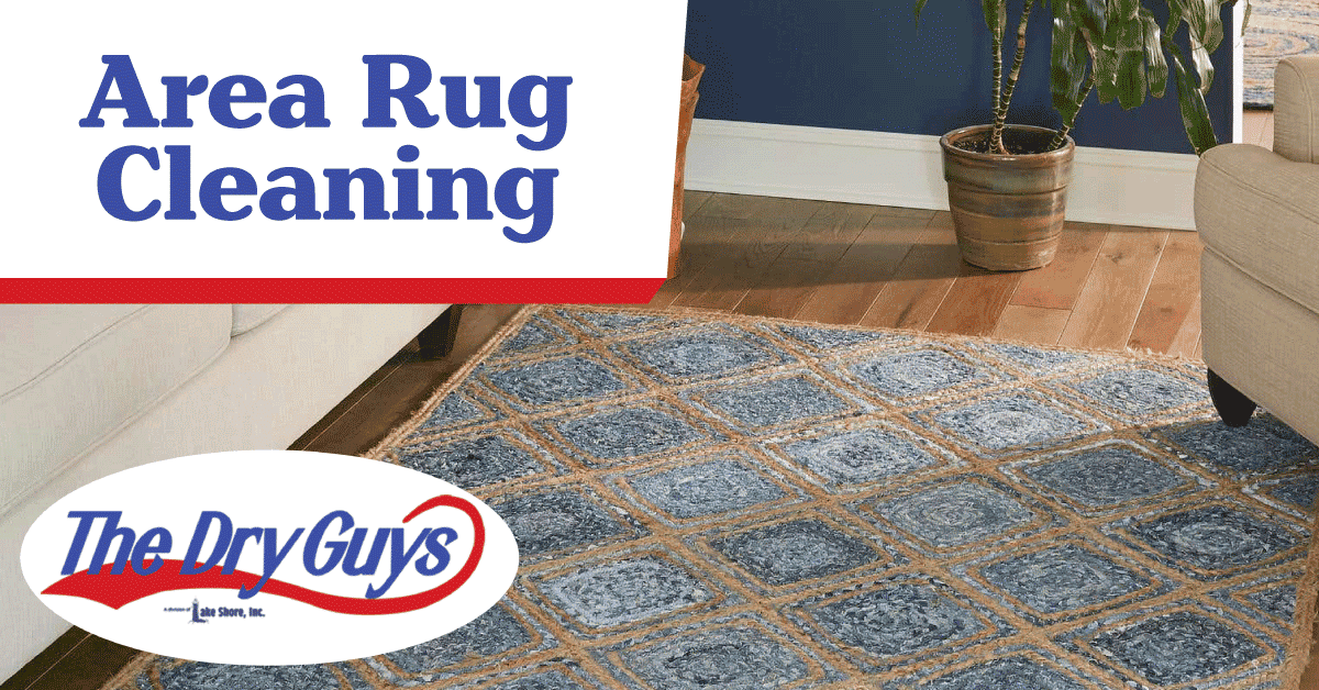 Area Rug Cleaning The Dry Guys Kenosha, WI