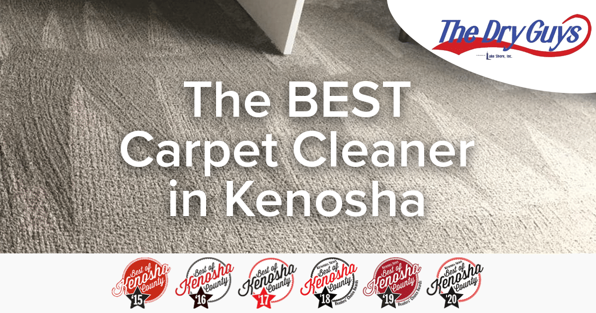 Best Carpet Cleaner in Kenosha The Dry Guys Kenosha, WI