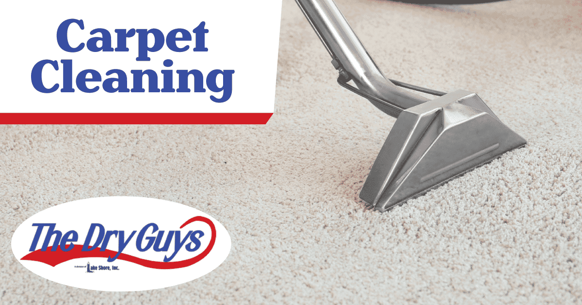 Carpet Cleaning The Dry Guys Kenosha, WI