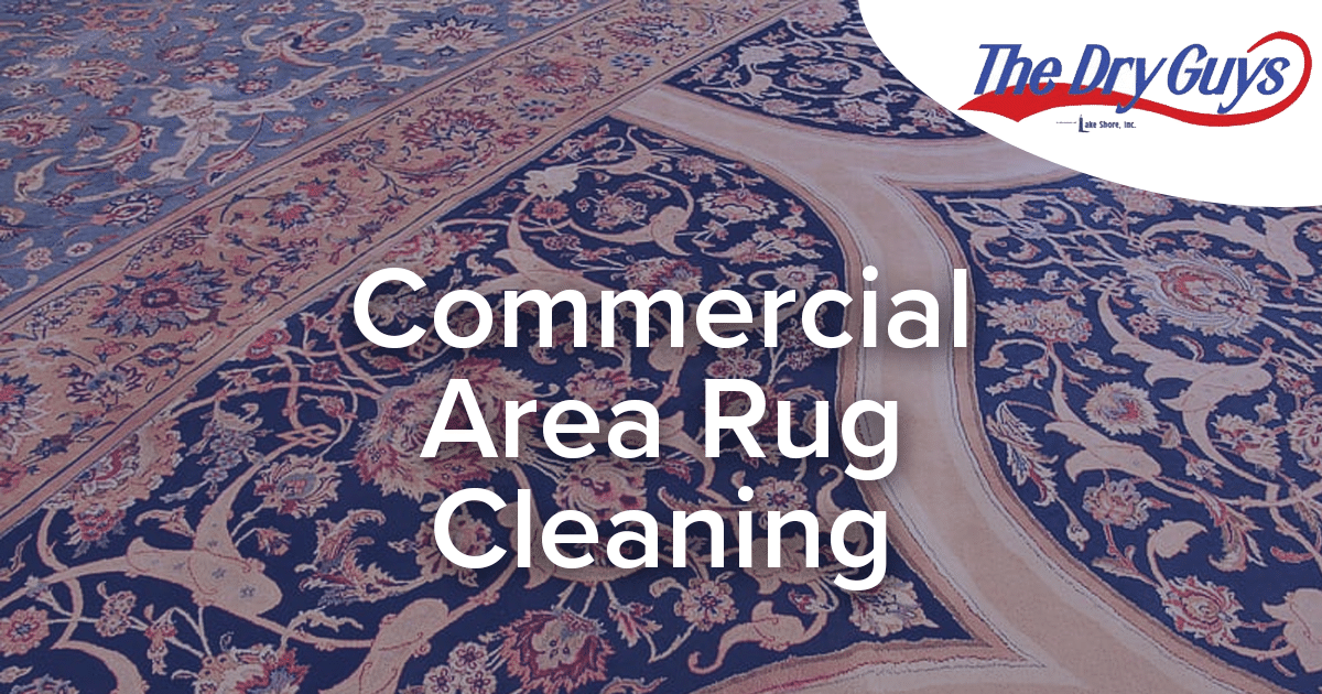 Commercial Area Rug Cleaning The Dry Guys Kenosha, WI