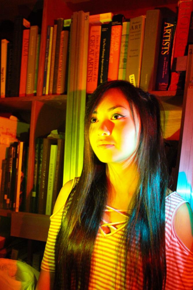 Public Art Final Collette Lee The Dublin Shield