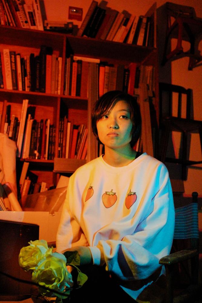 Public Art Final Collette Lee The Dublin Shield