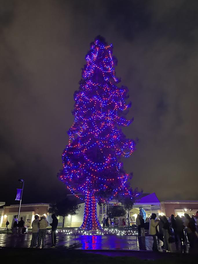 A Breakdown of Dublin High’s 2023 Tree Lighting Ceremony and Winter