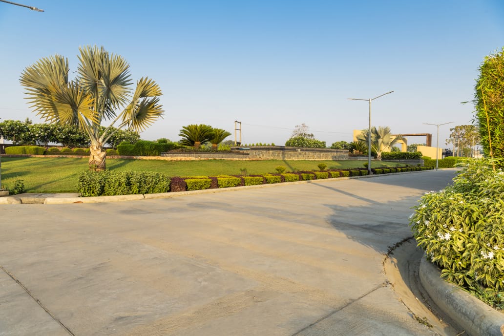 No Broking Pure Consultancy