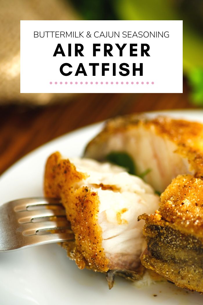 Air Fryer Catfish TheEatDown