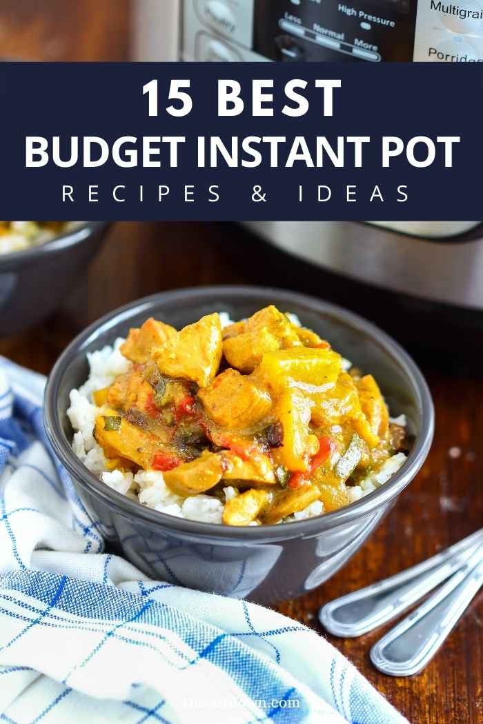 15 Best Budget Instant Pot Recipes [Cheap Pressure Cooker Meal Ideas] TheEatDown