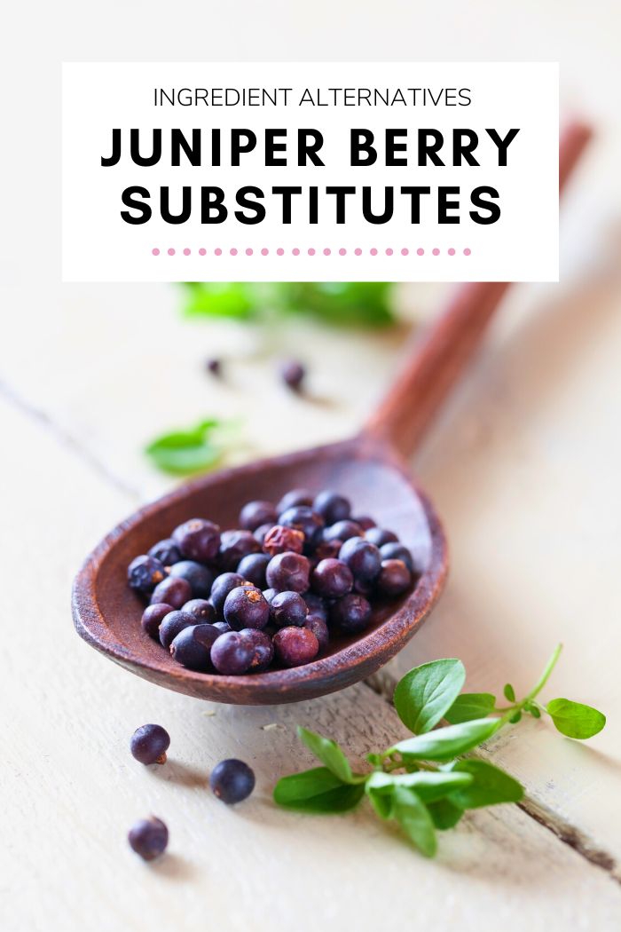 5 Best Substitutes for Juniper Berries TheEatDown